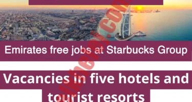 Best jobs in Dubai for foreigners 2023 – WordPress Gulf